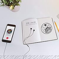 Zebronics Zeb-Calyx Wired in Ear Earphones with Mic