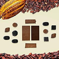 SMOOR Premium Celebration Box Chocolates Gift Pack Special Occasions Box of 14