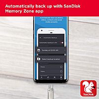 SanDisk Luxe Type C 256GB Pendrive