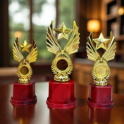 RC-FP1063C NEW 20CM 18%