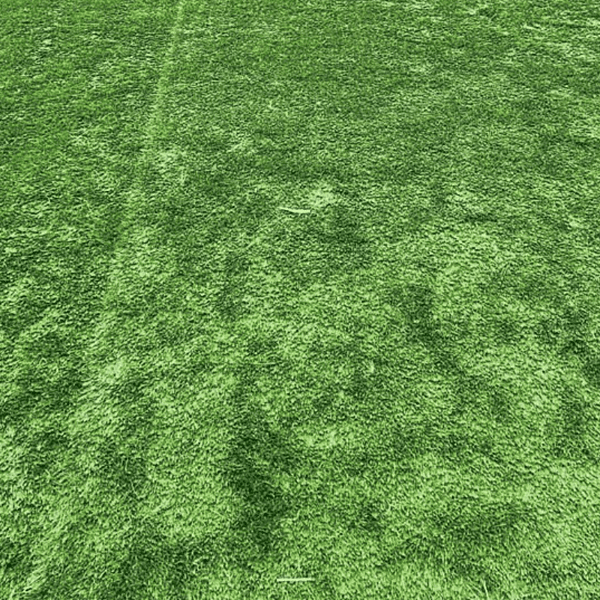 Goel Eisha Capitals - Artificial Lawns