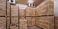 Controlled Atmosphere (CA) Cold Storage Rental