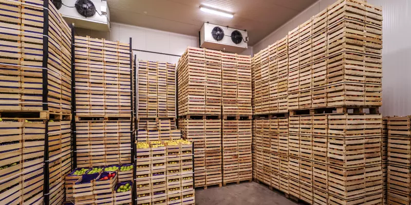 Controlled Atmosphere (CA) Cold Storage Rental