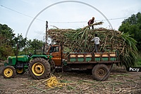 Fresh Produce First-Mile Logistics Service
