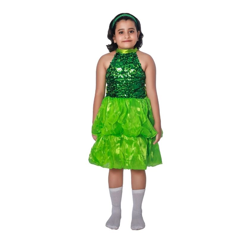 Western Dance Dress Girls