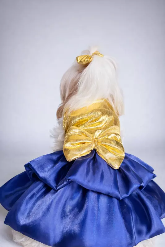 Golden Blue Party Dress