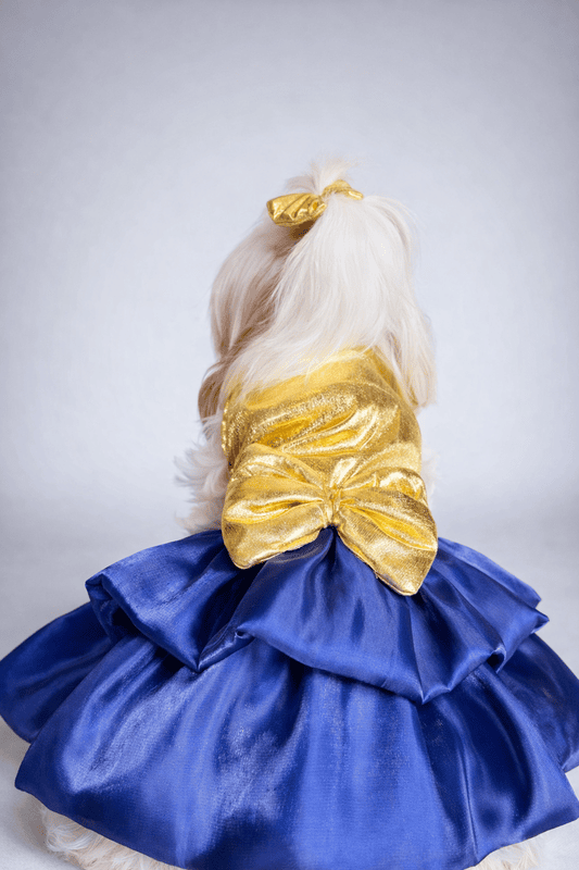 Golden Blue Party Dress