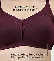 Enamor Innovations Fabcool Full Support Everyday Full Figure Bra AB75