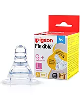 Pigeon Nipple L