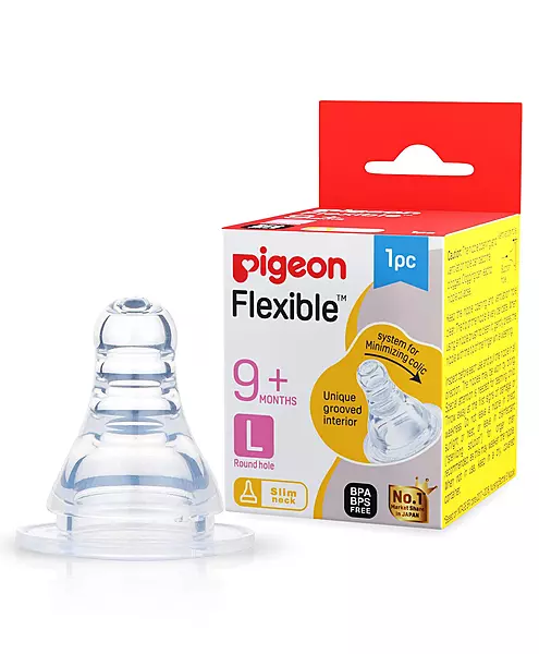 Pigeon Nipple L