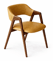 Tashi Upholstered Back Dining Chair