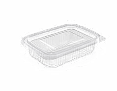 PET Hinged Containers: AT 250/150