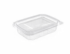 PET Hinged Containers: AT 250/150