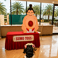 HUNGRY SUMO