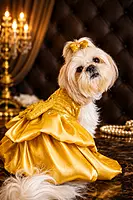 Yellow Sequin Party Dress