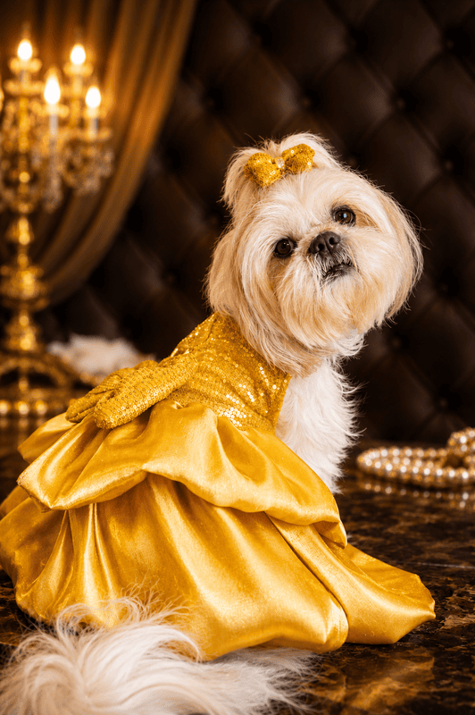 Yellow Sequin Party Dress