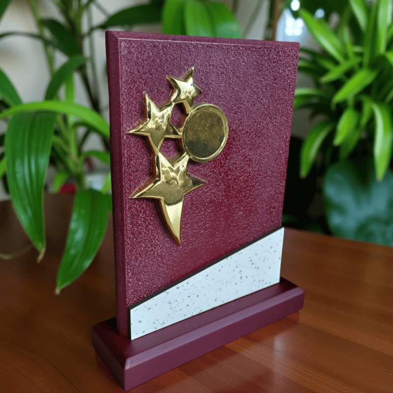 E-W5055S 25.50CM 18%