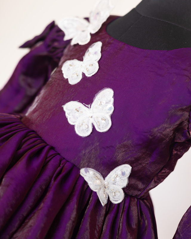 Royal Flutter Velvet Dress