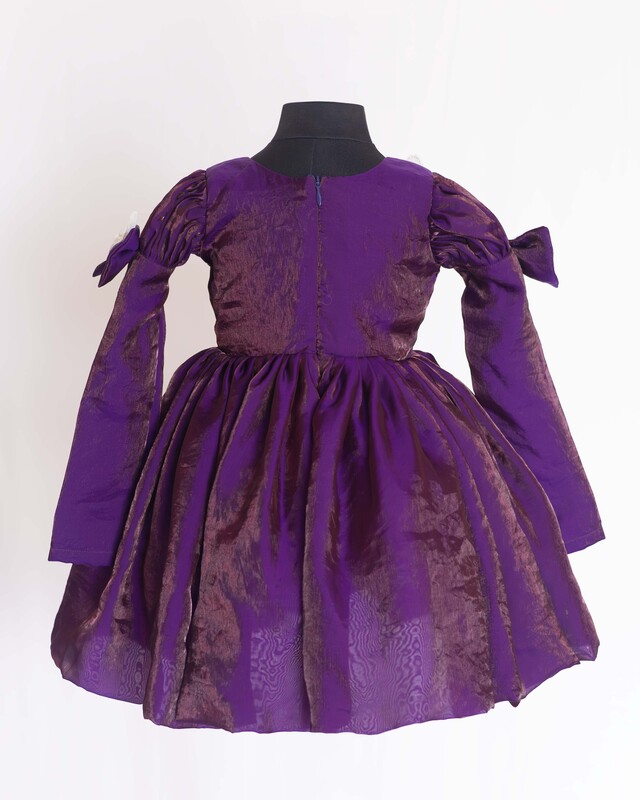 Royal Flutter Velvet Dress