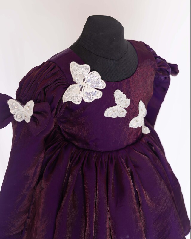 Royal Flutter Velvet Dress