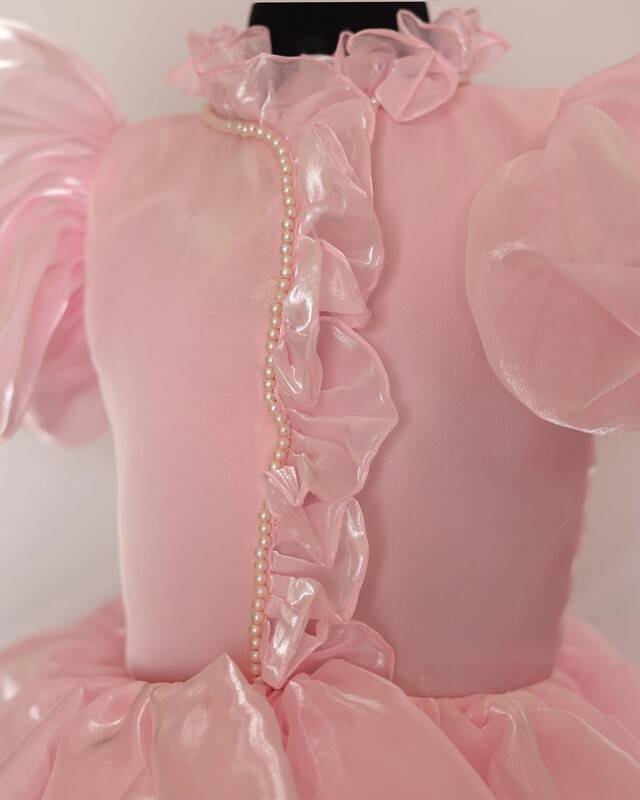 Blush Shine Princess Dress