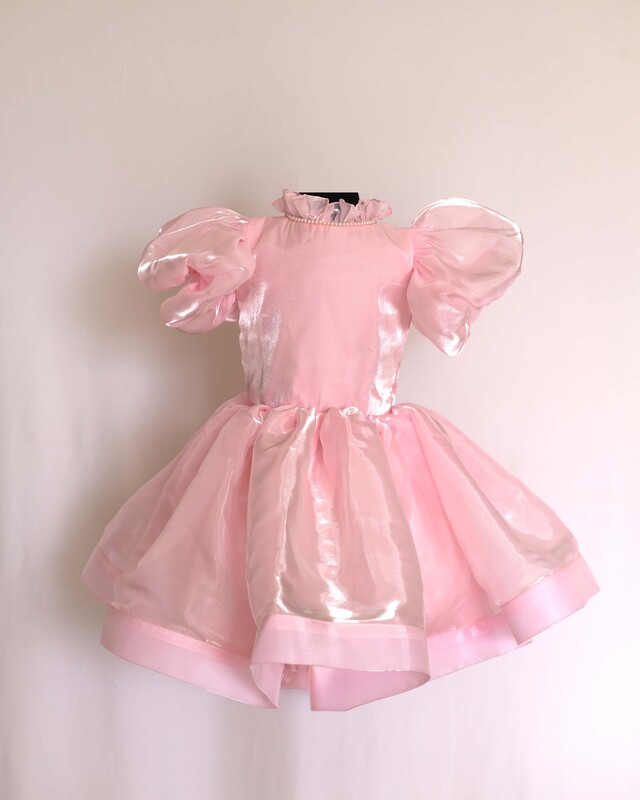 Blush Shine Princess Dress