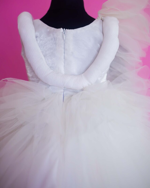 Swan Serenade Tutu