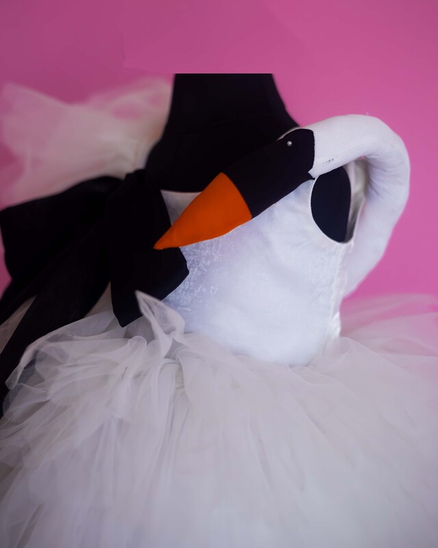 Swan Serenade Tutu