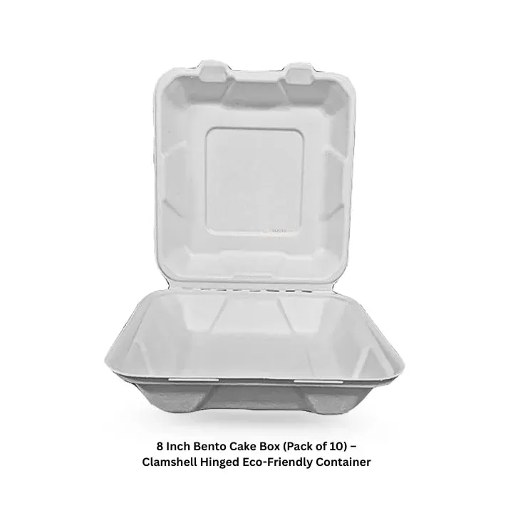 Bento box big