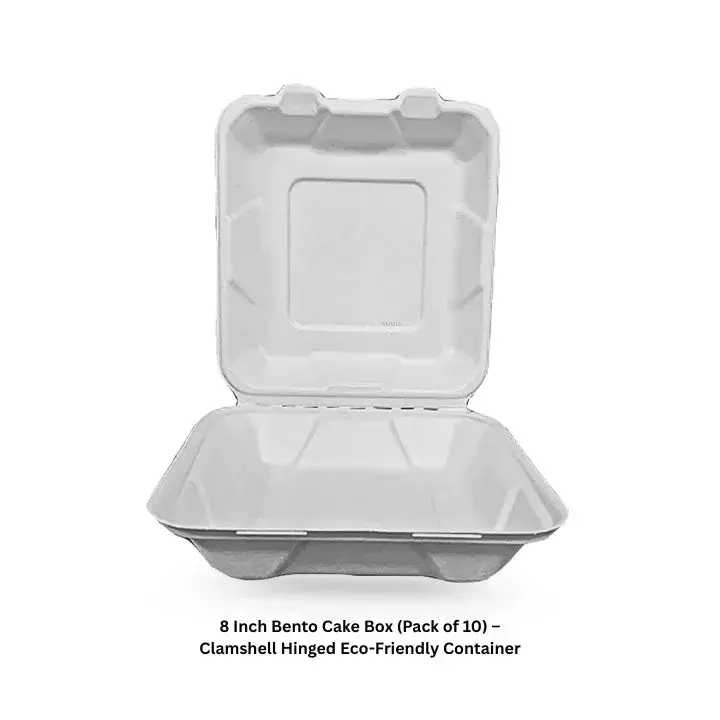 Bento box big