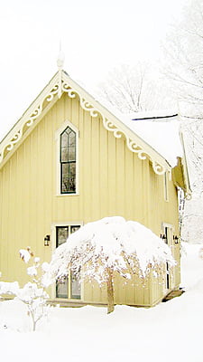 Pani Patti SBPP1126 Pani Patti SBPP1126