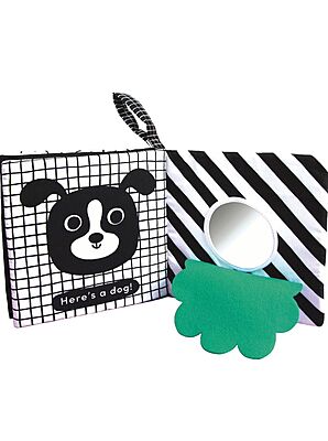 Cuddly Ladybird: Baby’s First Sensory Cloth Book