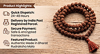 Rudraksha Mala - Beads size 8 mm, Length 43 cm, Beads 108 Rudraksha Mala - Beads size 8 mm, Length 43 cm, Beads 108