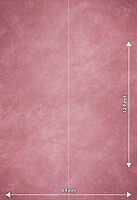 Dusty Pink Textured Portrait (PRE-ORDER)