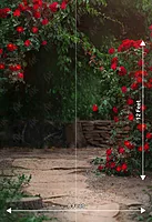 Red Rose Garden (PRE-ORDER)