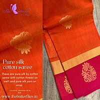 PURE KORA BY SILK COTTON SAREE MSSSSCS18357