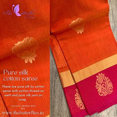 PURE KORA BY SILK COTTON SAREE MSSSSCS18357
