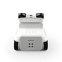 Codey Rocky Codey Rocky