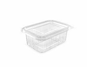 PET Hinged Containers: AT 250/300