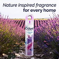 Odonil Room Air Freshner Spray 220 ML