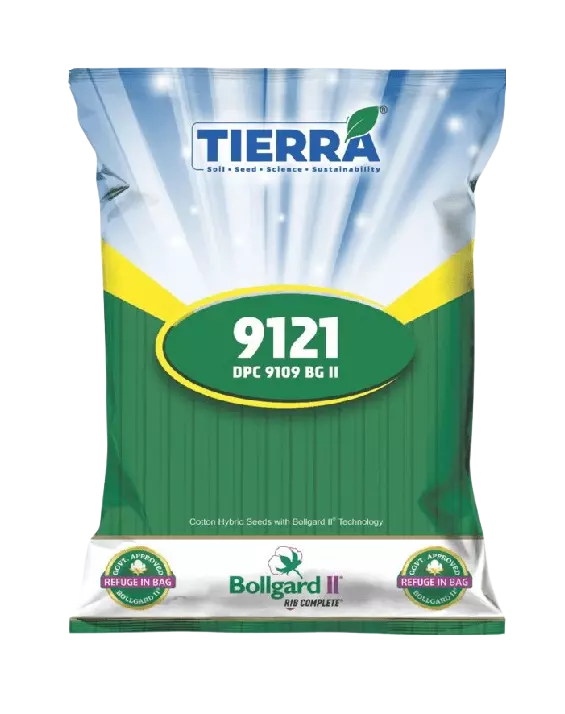 Cotton 9121 BG II Seeds by Tierra