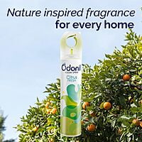 Odonil Room Air Freshner Spray 220 ML
