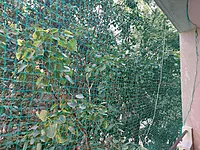 3 LAYER SAFETY NETS