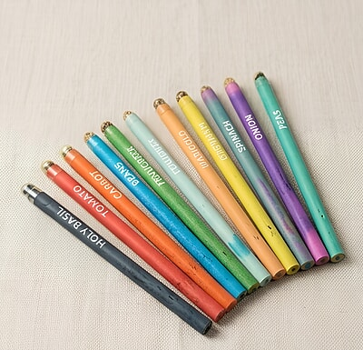 Stationary kit| Colouring mini seed pencils | Set of 9 | Ecofriendly Stationary kit| Colouring mini seed pencils | Set of 9 | Ecofriendly