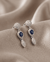 925 Silver Midnight Majesty Drop Earrings