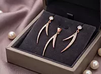 925 Silver Rose Radiance Arc Set