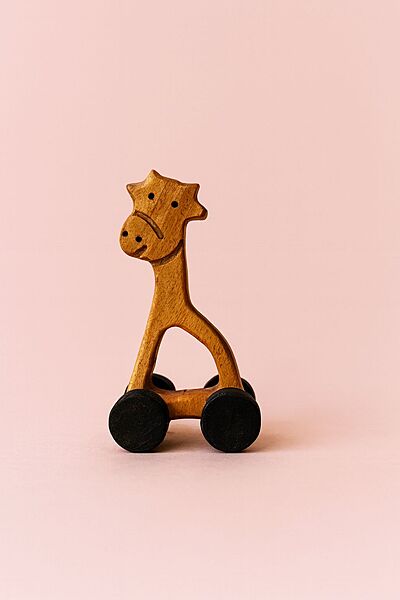 Zuzu the Giraffe Wheel Toy Zuzu the Giraffe Wheel Toy