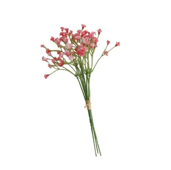 Pink Gypsy Flower 1 Bunch