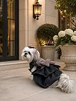 Royal Midnight Princess Dress
