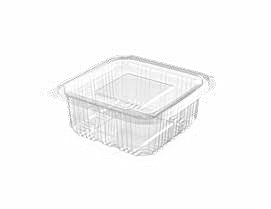 PET Hinged Containers: AT300/300
